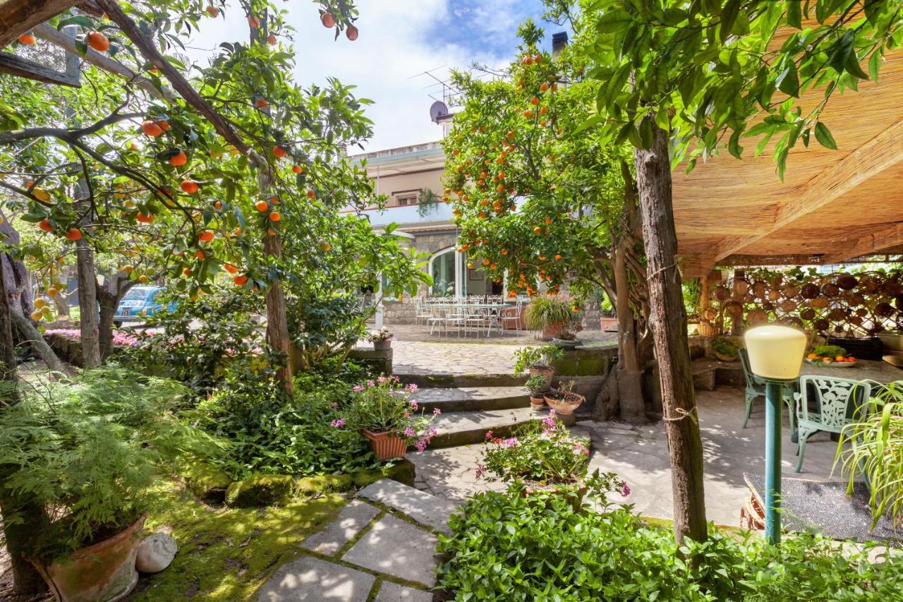 Villa Maresca B&B Piano di Sorrento Zewnętrze zdjęcie
