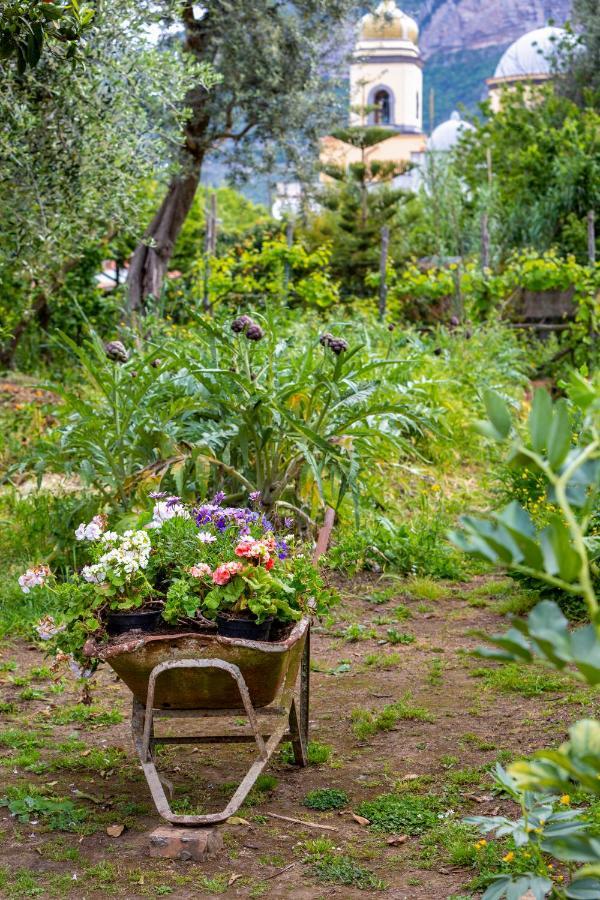 Villa Maresca B&B Piano di Sorrento Zewnętrze zdjęcie