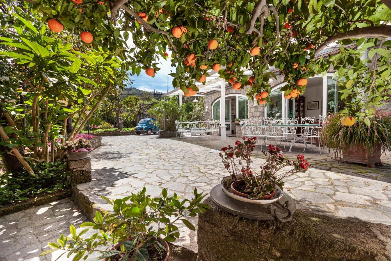 Villa Maresca B&B Piano di Sorrento Zewnętrze zdjęcie