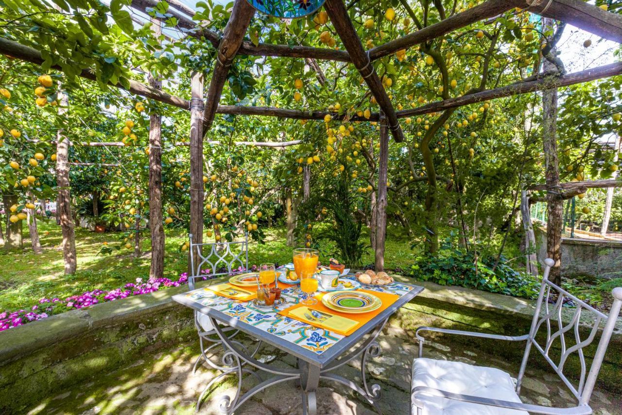 Villa Maresca B&B Piano di Sorrento Zewnętrze zdjęcie