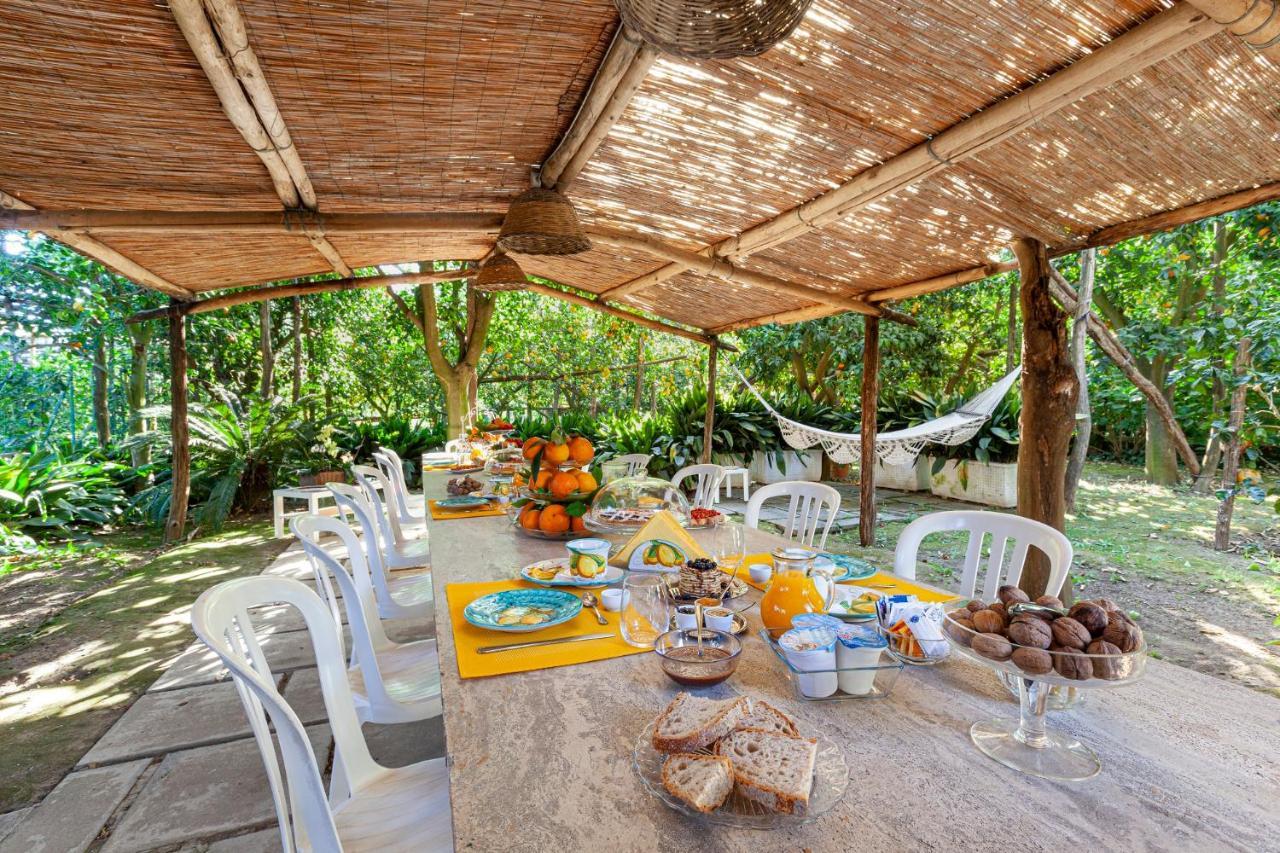 Villa Maresca B&B Piano di Sorrento Zewnętrze zdjęcie