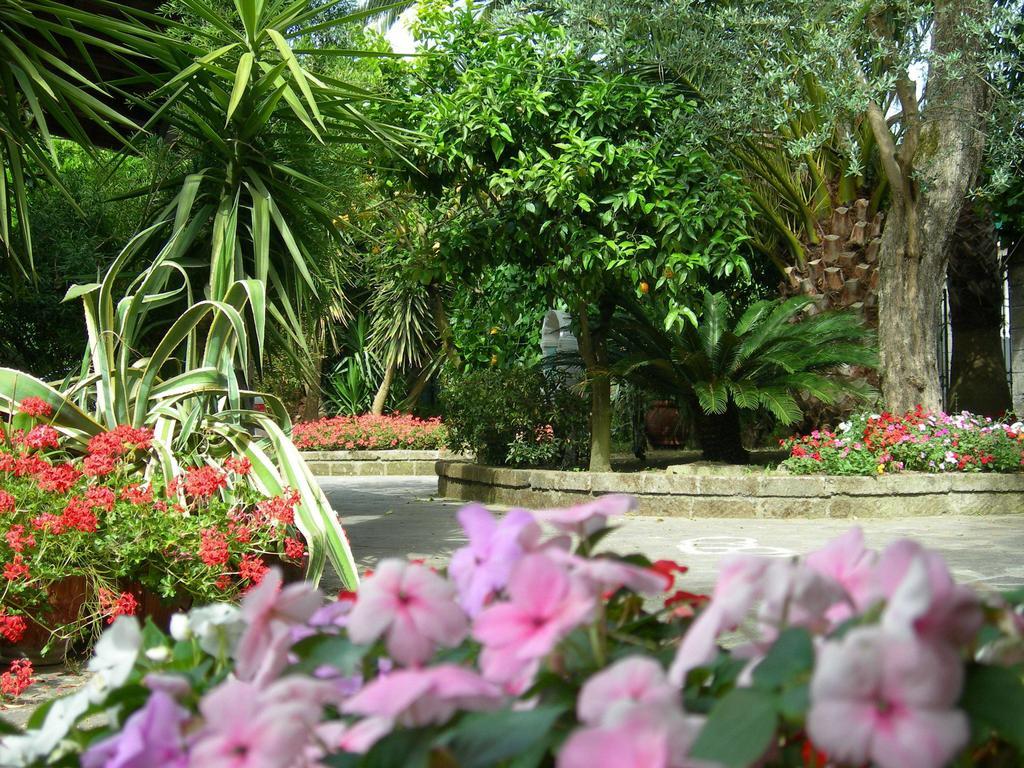 Villa Maresca B&B Piano di Sorrento Zewnętrze zdjęcie